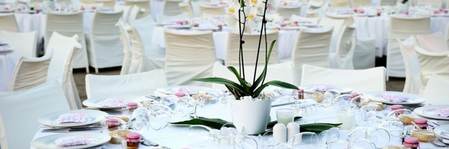 Service de location de mobilier et matériel